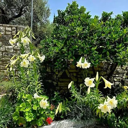 Studio Artik Retreat 4 Himarë
