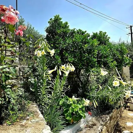Studio Artik Retreat 4 * Himarë