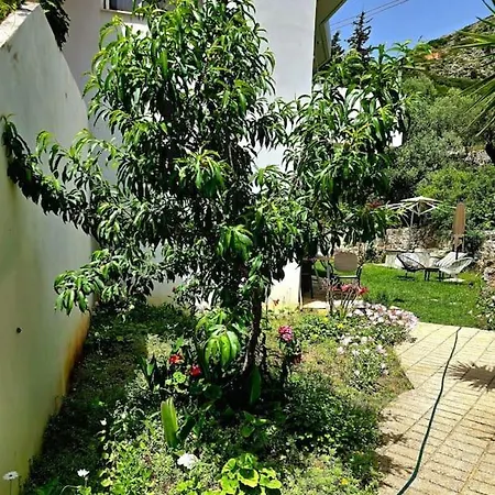 Studio Artik Retreat 4 * Himarë